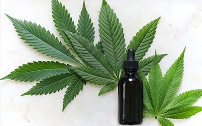 CBD & THC
