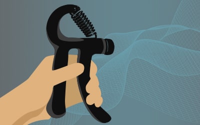 Handtrainer - Aufbau der Griffmuskulatur