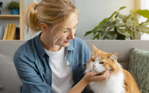 Katzenallergie - Symptome und Therapie