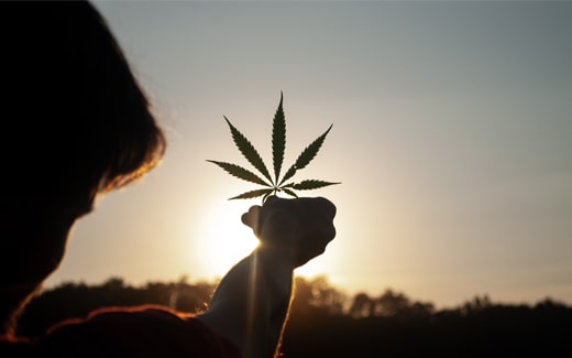Cannabis ermöglicht eine schmerzstillende und entspannte Wirkung