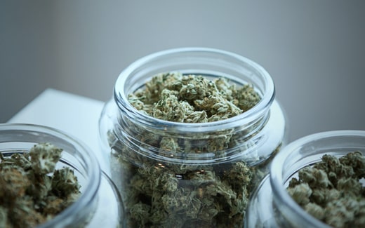 Cannabisblüten und Cannabisextrakte