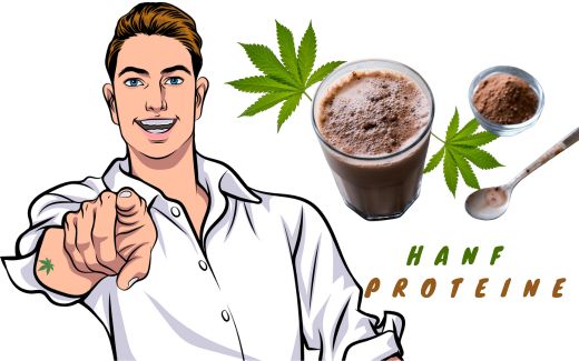 Hanfprotein – das Nährstoffwunder